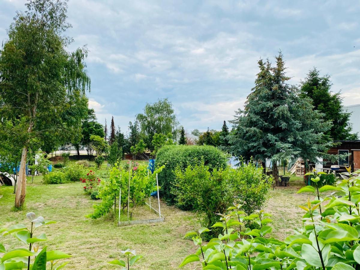 Pension Florion Bernburg Dış mekan fotoğraf