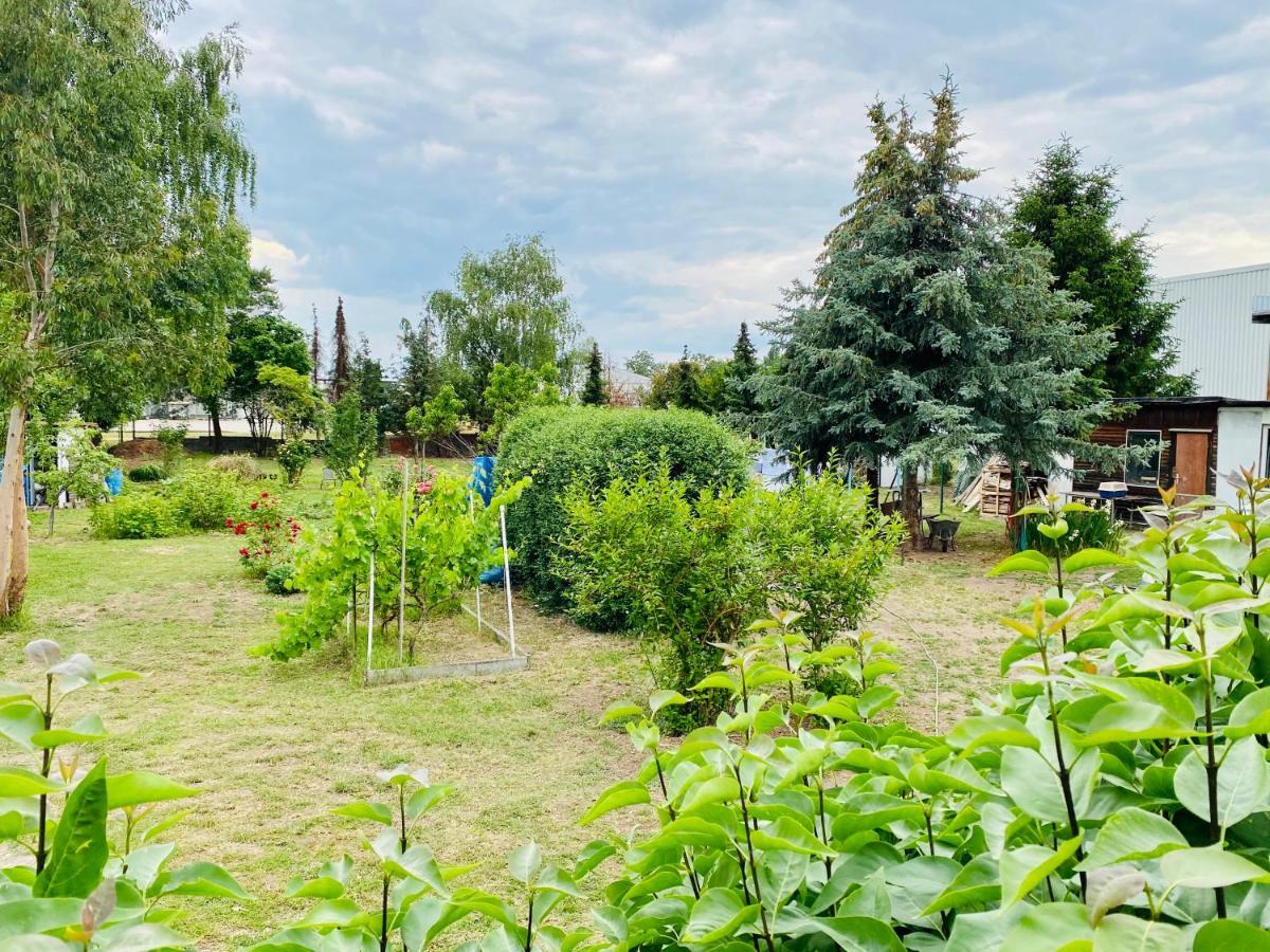 Pension Florion Bernburg Dış mekan fotoğraf